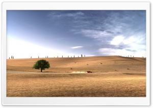 Citroen C4 WRC Desert Rally Ultra HD Wallpaper for 4K UHD Widescreen desktop, tablet & smartphone