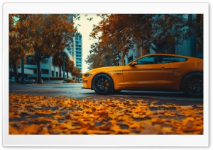 City, Autumn, Foliage, Yellow Car Ultra HD Wallpaper for 4K UHD Widescreen Desktop, Lockscreen, Screensaver, TV, Tablet, Smartphone