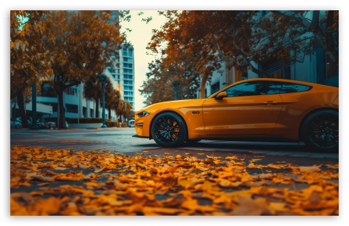 City, Autumn, Foliage, Yellow Car UltraHD Wallpaper for 8K UHD TV 16:9 Ultra High Definition 2160p 1440p 1080p 900p 720p ; UltraWide 21:9 24:10 ; Widescreen 16:10 5:3 WHXGA WQXGA WUXGA WXGA WGA ; Fullscreen 4:3 5:4 3:2 UXGA XGA SVGA QSXGA SXGA DVGA HVGA HQVGA ( Apple PowerBook G4 iPhone 4 3G 3GS iPod Touch ) ; Tablet 1:1 ;