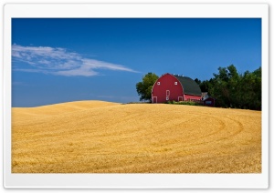 Classic American Red Barn in Wheat Field 4K UHD Wallpaper for Widescreen and UltraWide Desktop, UltraHD TV, Smartphone, Tablet