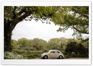 Classic VW Beetle, Volkswagen Type 1, Small Car 4K UHD Wallpaper for Widescreen and UltraWide Desktop, UltraHD TV, Smartphone, Tablet