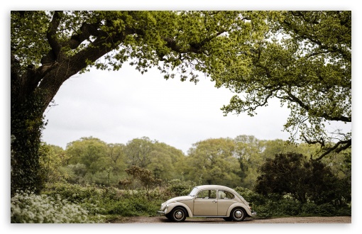 Classic VW Beetle, Volkswagen Type 1, Small Car UltraHD Wallpaper for UHD 16:9 ; HD 16:9 ; Widescreen 16:10 5:3 ; Fullscreen 4:3 5:4 3:2 ; Tablet 1:1 ; Mobile 9:16 9:19.5 9:20 9:21 9:22 10:16 2:3 3:5 3:4 ;