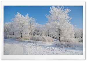 Clear Winter Day Ultra HD Wallpaper for 4K UHD Widescreen desktop, tablet & smartphone