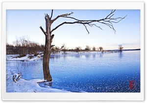 Clinton Lake Frozen Ultra HD Wallpaper for 4K UHD Widescreen desktop, tablet & smartphone