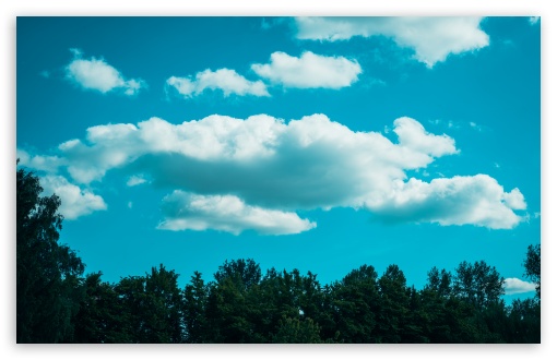 Cloud Over Tree Line UltraHD Wallpaper for UHD 16:9 ; HD 16:9 ; UltraWide 21:9 24:10 ; Widescreen 16:10 5:3 ; Fullscreen 4:3 5:4 3:2 ; Tablet 1:1 ; Mobile 9:16 9:19.5 9:20 9:21 9:22 10:16 2:3 3:5 3:4 ; Dual 4:3 5:4 ;