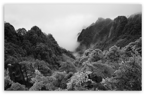 Cloud Sea Over Huangshan Mountains China UltraHD Wallpaper for UHD 16:9 ; HD 16:9 ; UltraWide 21:9 24:10 32:9 32:10 ; Widescreen 16:10 ; Tablet 1:1 ; Mobile 9:16 9:19.5 9:20 9:21 9:22 ; Dual 16:10 16:9 ;