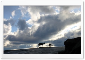 Cloudscape 4 4K UHD Wallpaper for Widescreen and UltraWide Desktop, UltraHD TV, Smartphone, Tablet