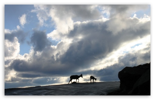 Cloudscape 4 UltraHD Wallpaper for HD 16:9 ; Widescreen 16:10 5:3 ; Fullscreen 4:3 5:4 3:2 ; Tablet 1:1 ; Mobile 3:5 3:4 ;