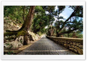 Cobblestone Path Ultra HD Wallpaper for 4K UHD Widescreen desktop, tablet & smartphone