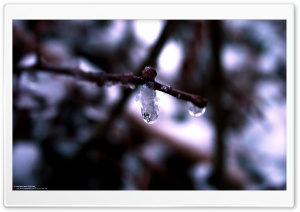 Cold Drops (Precious But Fleeting) Ultra HD Wallpaper for 4K UHD Widescreen desktop, tablet & smartphone