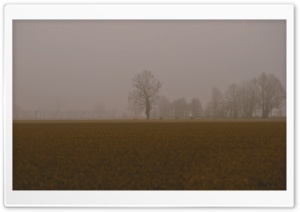 Cold Foggy Day Ultra HD Wallpaper for 4K UHD Widescreen desktop, tablet & smartphone