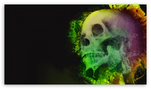 Color skull Ultra HD Desktop Background Wallpaper for 4K UHD TV