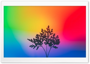 Color Spectrum Background Ultra HD Wallpaper for 4K UHD Widescreen desktop, tablet & smartphone