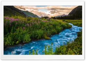 Colorado Flowers, River, USA Ultra HD Wallpaper for 4K UHD Widescreen desktop, tablet & smartphone