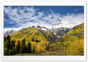 Colorado Leaves Ultra HD Wallpaper for 4K UHD Widescreen desktop, tablet & smartphone