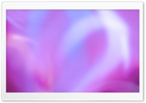 Colorful Aurora Magenta Ultra HD Wallpaper for 4K UHD Widescreen desktop, tablet & smartphone