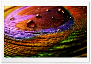 Colorful Cloth Ultra HD Wallpaper for 4K UHD Widescreen desktop, tablet & smartphone