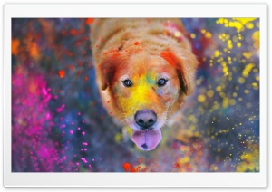 Colorful Dust Ultra HD Wallpaper for 4K UHD Widescreen desktop, tablet & smartphone