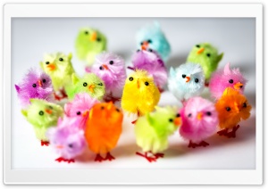 Colorful Easter Chicks Ultra HD Wallpaper for 4K UHD Widescreen desktop, tablet & smartphone