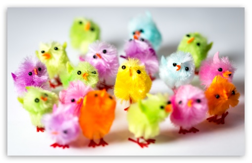 Colorful Easter Chicks UltraHD Wallpaper for UHD 16:9 ; HD 16:9 ; UltraWide 21:9 24:10 ; Widescreen 16:10 5:3 ; Fullscreen 4:3 3:2 ; Tablet 1:1 ; Mobile 9:16 2:3 3:5 3:4 ;