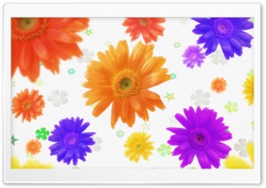 Colorful Flowers 4 Ultra HD Wallpaper for 4K UHD Widescreen desktop, tablet & smartphone
