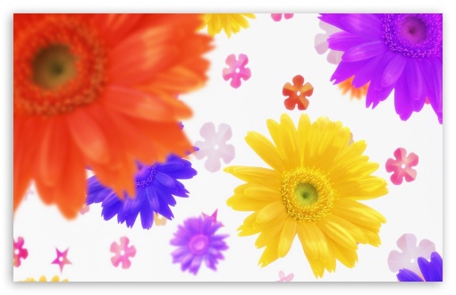 Colorful Flowers 6 UltraHD Wallpaper for HD 16:9 ; Widescreen 16:10 5:3 ; Fullscreen 4:3 5:4 3:2 ; Mobile 3:4 ;