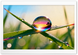 Colorful Reflection in a Dew Drop on the Grass 4K UHD Wallpaper for Widescreen and UltraWide Desktop, UltraHD TV, Smartphone, Tablet