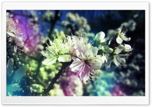 Colorful Spring Ultra HD Wallpaper for 4K UHD Widescreen desktop, tablet & smartphone