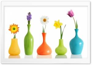 Colorul Flower Vases Ultra HD Wallpaper for 4K UHD Widescreen desktop, tablet & smartphone
