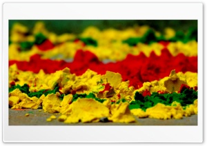 Colour Of life 4K UHD Wallpaper for Widescreen and UltraWide Desktop, UltraHD TV, Smartphone, Tablet
