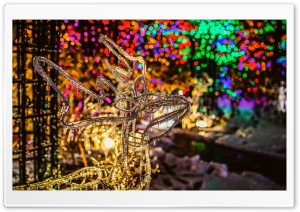 Colourful Ultra HD Wallpaper for 4K UHD Widescreen desktop, tablet & smartphone