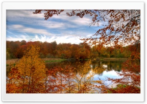 Colourful Autumn Forest Reflecting In Calm Lake Ultra HD Wallpaper for 4K UHD Widescreen desktop, tablet & smartphone