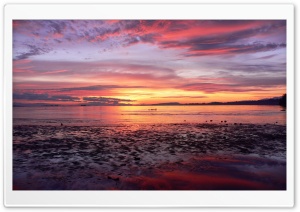 Comox Sunrise Ultra HD Wallpaper for 4K UHD Widescreen desktop, tablet & smartphone