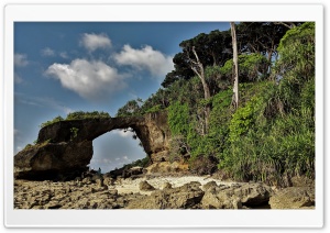 Coral Beach Ultra HD Wallpaper for 4K UHD Widescreen desktop, tablet & smartphone