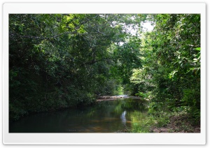 Córrego do Escuro - Dark Creek Ultra HD Wallpaper for 4K UHD Widescreen desktop, tablet & smartphone