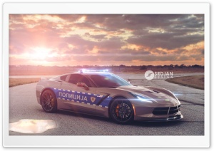 Corvette C7 Stingray Police Ultra HD Wallpaper for 4K UHD Widescreen desktop, tablet & smartphone