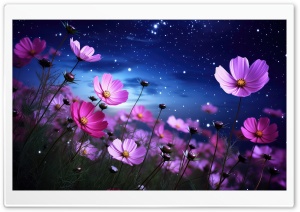 Cosmos Flowers Night Ultra HD Wallpaper for 4K UHD Widescreen desktop, tablet & smartphone