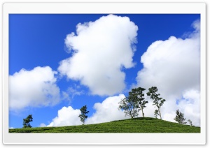 Cotton Clouds Ultra HD Wallpaper for 4K UHD Widescreen desktop, tablet & smartphone