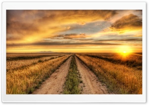 Country Road At Sunset Ultra HD Wallpaper for 4K UHD Widescreen desktop, tablet & smartphone