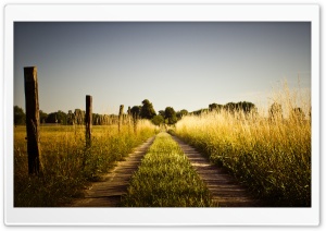 Country Road, Late Summer Ultra HD Wallpaper for 4K UHD Widescreen desktop, tablet & smartphone