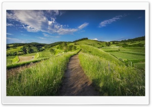 Countryside Dirt Road Ultra HD Wallpaper for 4K UHD Widescreen desktop, tablet & smartphone