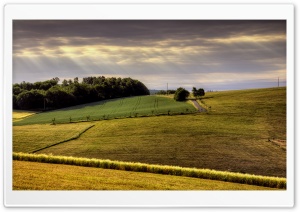 Countryside Field Ultra HD Wallpaper for 4K UHD Widescreen desktop, tablet & smartphone