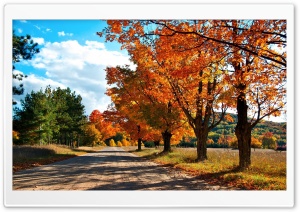 Countryside Road Autumn Ultra HD Wallpaper for 4K UHD Widescreen desktop, tablet & smartphone