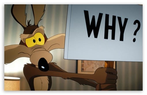 Coyote vs Acme American Comedy Movie 2026 UltraHD Wallpaper for UHD 16:9 ; HD 16:9 ; UltraWide 21:9 24:10 ; Widescreen 16:10 ;