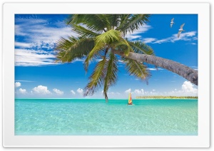 Cozumel Beach as Most Beautiful Beach in the World Ultra HD Wallpaper for 4K UHD Widescreen desktop, tablet & smartphone