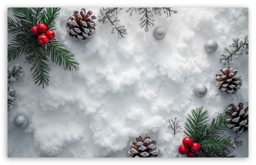 Cranberries, Fir Branches, Pine Cons, Snow Decor UltraHD Wallpaper for UHD 16:9 ; HD 16:9 ; Widescreen 16:10 5:3 ; Fullscreen 4:3 5:4 3:2 ; Tablet 1:1 ;