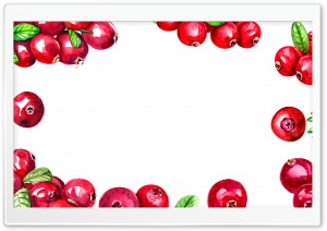Cranberries Thanksgiving Watercolor Background Ultra HD Wallpaper for 4K UHD Widescreen desktop, tablet & smartphone