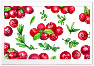 Cranberries Thanksgiving Watercolor Painting Background Ultra HD Wallpaper for 4K UHD Widescreen desktop, tablet & smartphone
