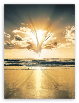 Creative Beach UltraHD Wallpaper for Mobile 3:5 3:4 ;