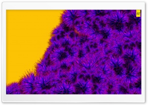 Creative Flora by AJ Ultra HD Wallpaper for 4K UHD Widescreen desktop, tablet & smartphone